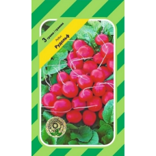 Редис Рудольф - 3г